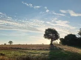 Au Mont & Merveilles