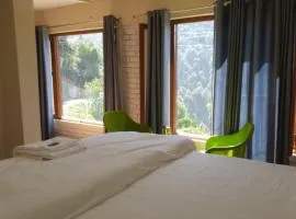 shri Chandra homestay kainchidham