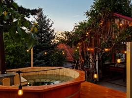 Vila cu Ciubar & Jacuzzi - Sunset Hill House，位于Cuvin的别墅