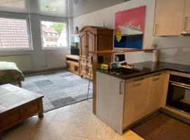 1 Zimmer Ferienwohnung 30 qm，位于Steinen的酒店