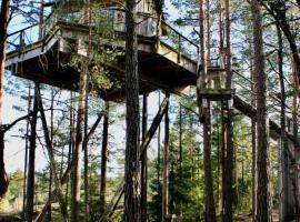 Tretopphytter P&aring; Grensen - Elghytta med rob&aring;t og gjeddefiske，位于哈尔登的宠物友好酒店