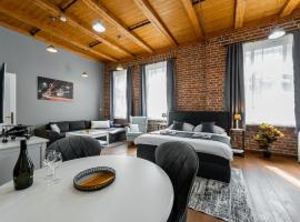 Vintage Industrial City Apartments，位于科希策的酒店