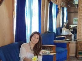 Kashmir View group of Houseboat，位于斯利那加的酒店