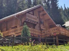 Appartement dans Chalet Lout'Chi à Valfréjus，位于瓦尔弗雷加斯的木屋