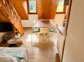 Appartement Chalet à 1400m - Station du Mourtis，位于Boutx的酒店