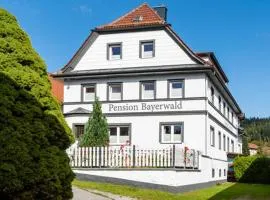 Pension Bayerwald mit Ferienwohnung