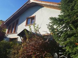 Vila de vacanta Amalia，位于Valea Lungă-Gorgota的酒店