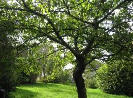 Maison avec grand jardin pour 15 couchages en Normandie