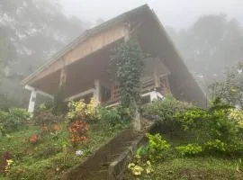 Cabaña Guarumo de la Sierra - Minca