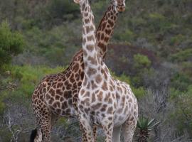 Garden Route Safari Camp，位于莫塞尔湾的酒店