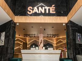 Santé SPA Hotel，位于韦林格勒的宠物友好酒店