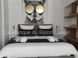 La planque du raton laveur