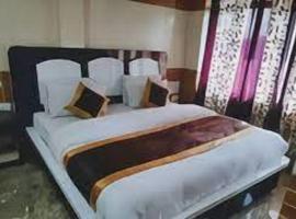 Hotel Diamond, Meerut，位于密拉特的酒店