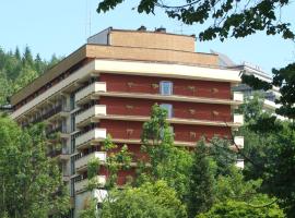 SP ZOZ Sanatorium Uzdrowiskowe MSWiA w Krynicy-Zdroju，位于克雷尼察的酒店