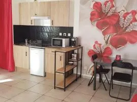 Joli appartement de 30 m2 en RDC
