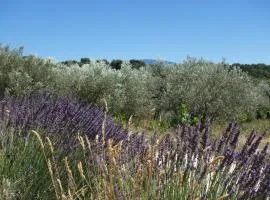 EtoileduVentoux - Nyons Vaison la Romaine - 2pers