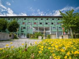 Kolpinghaus Salzburg - SommerHOSTEL，位于萨尔茨堡的酒店