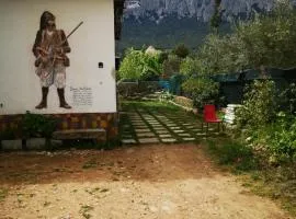 Pinnettu sardo casa di campagna in ecosistema insetti e animaletti simpatici in condivisione,Leggere attentamente Prima di prenotare