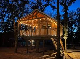 The Chickadee Treehouse 15MIN to Magnolia Baylor