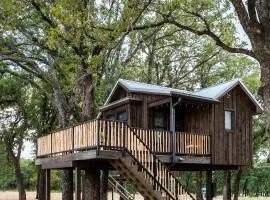 Cedar Waxwing Treehouse15 MIN to MagnoliaBaylor