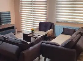 Apartman Banja Koviljaca