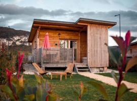 Les Lodges de la ViaRhôna / cabane-spa，位于Virignin的山林小屋