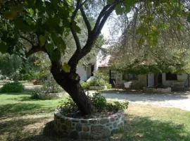 Traditionelles Appartement ATHOS SHADOW 2 am Meer