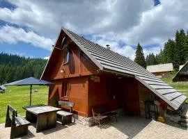 Cosy Chalet on Pokljuka - Brunarica Tinkara