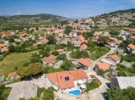 Family friendly house with a swimming pool Nerezisca, Brac - 20132