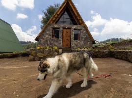 Bosque de Perlillas，位于墨西哥城的酒店