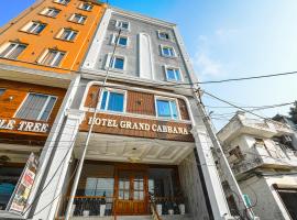 Hotel Grand Cabbana By Levelup Hotels，位于阿姆利则的酒店