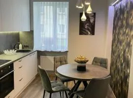 Just renovated 2 room apartment near the Palace