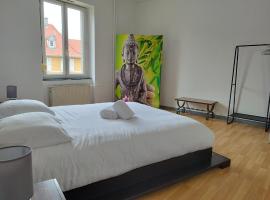 Le Thannois - appartement 2 chambres, salon, cuisine équipée, parking et wifi gratuit，位于米卢斯的酒店