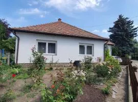 Holiday home in Siofok - Balaton 43127