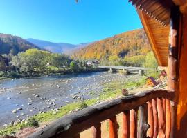 "Обійми гір"Котеджі，位于亚列姆切的乡间豪华旅馆