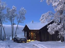 Bruksvallarna - Modern fjällstuga med panoramautsikt och WiFi，位于布鲁克斯瓦拉那的酒店