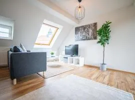 FULL HOUSE Premium Apartments - Zwickau rooftop