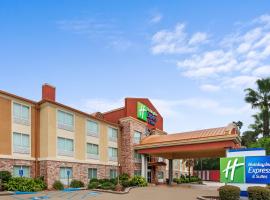 Holiday Inn Express & Suites Lafayette South by IHG，位于拉斐特的酒店
