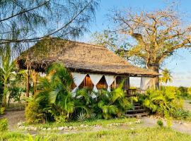 Baobab Dream House，位于瓦塔穆的酒店