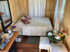 Cabañas Lemupewen Chillán 6 Factura
