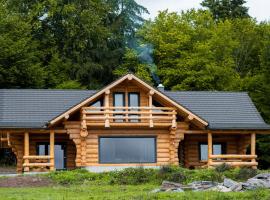 Harghita Log Houses，位于Izvoare的度假村