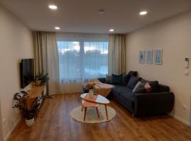 Navi Apartment，位于Navi的酒店