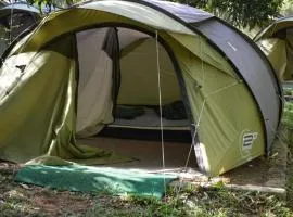 Dandeli Jungle Resorts