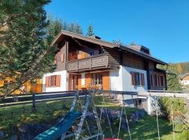 Almhaus Kärnten Flattnitz，位于Flattnitz的酒店