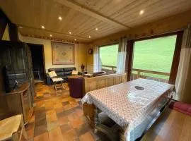 Ty Menez 2 - Chalet sur les pistes