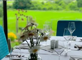 Vaj Bisztró és Vendégház