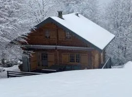 CHALET 6 PERSONNES SUR PISTE