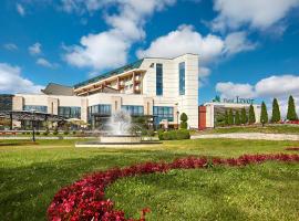 A Hoteli - Hotel Izvor，位于阿然德洛维克的带泳池的酒店