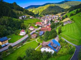 Steepleview House, Schwarzwaldblick Apartment - spacious & peaceful，位于巴特彼得斯塔尔-格里斯巴赫的公寓