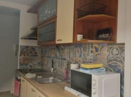 Studio Apartman Bojana 34m2,free wifi,parking，位于锡萨克的酒店